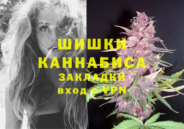 PSILOCYBIN Алексин