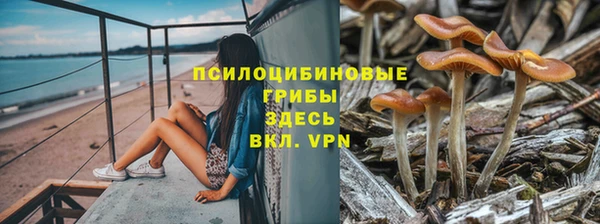 соль курить ск Алексеевка