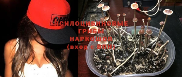 соль курить ск Алексеевка